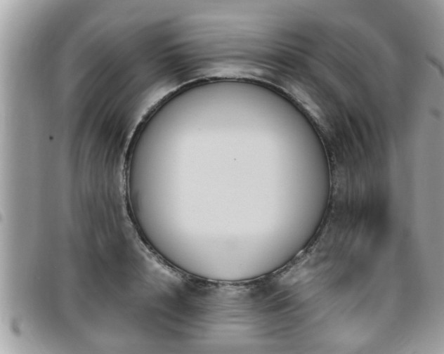 X0000095910848200801181354