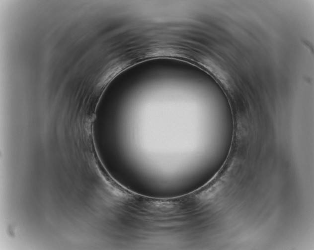 X0000095910849200801181354