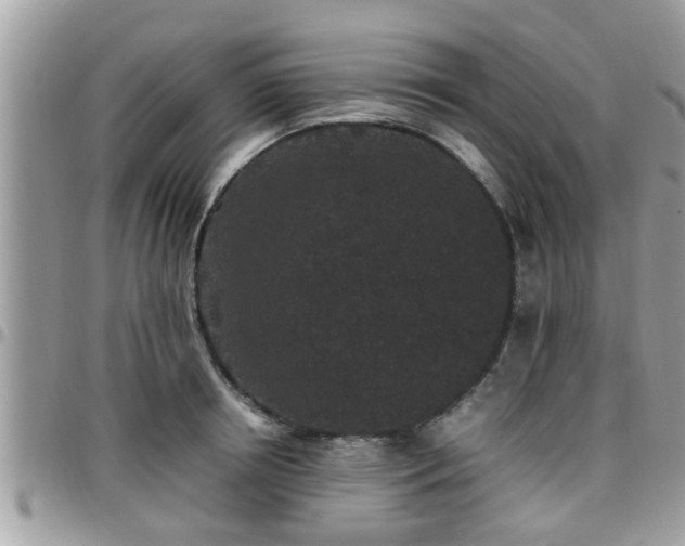 X0000095910850200801181354