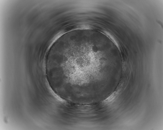 X0000095910851200801181354