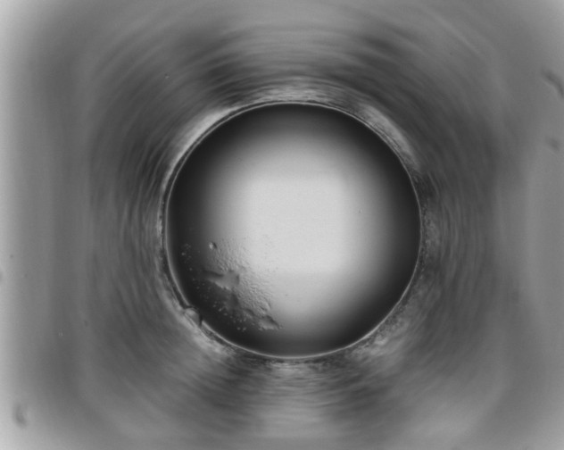 X0000095910852200801181354