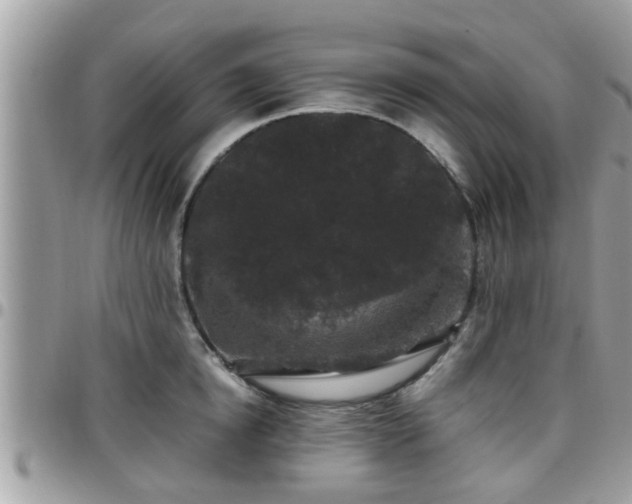 X0000095910854200801181354