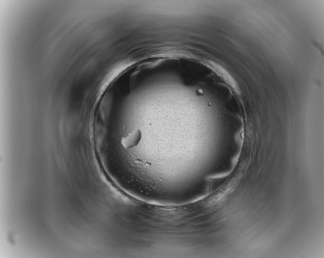 X0000095910855200801181354