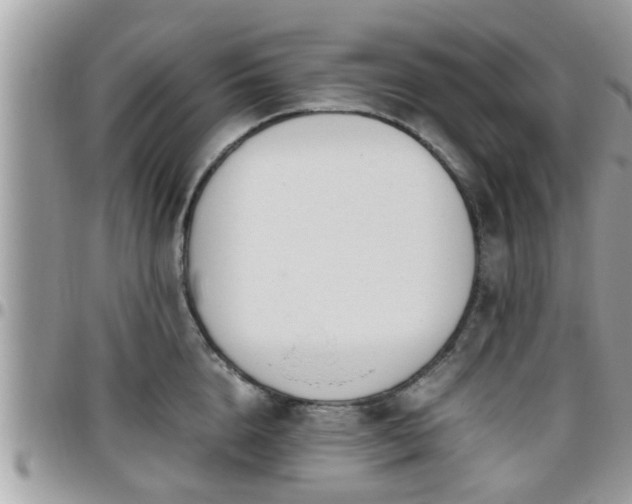 X0000095910856200801181354