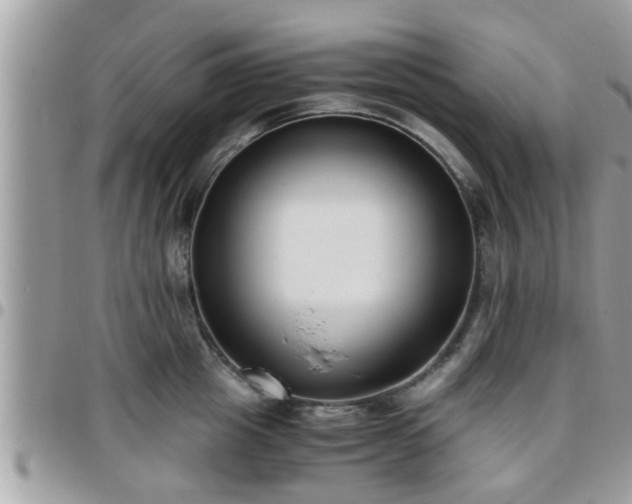 X0000095910857200801181354