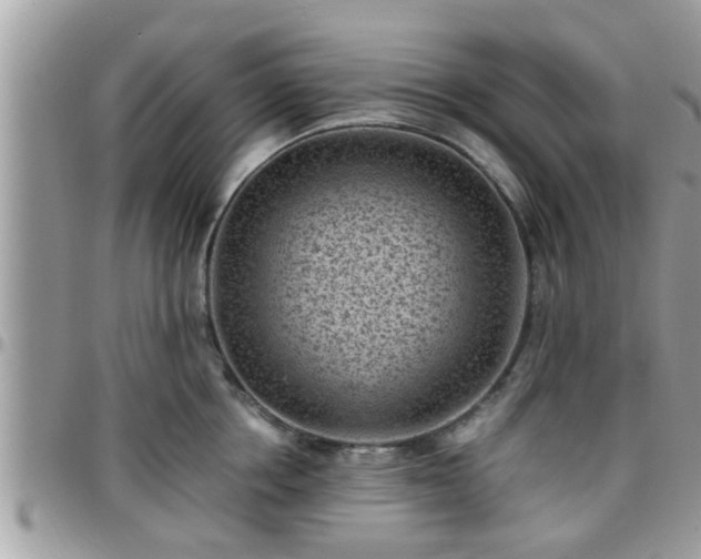 X0000095910858200801181354