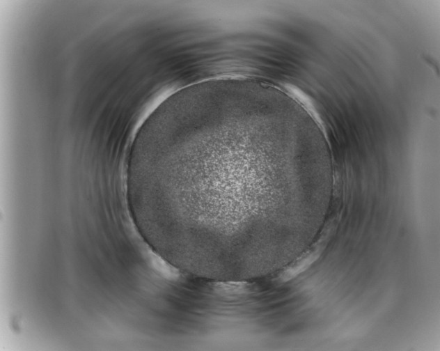 X0000095910859200801181354