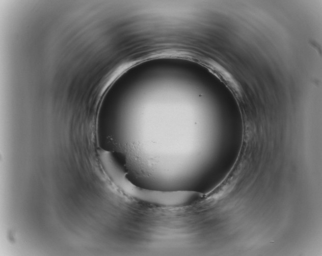 X0000095910860200801181354