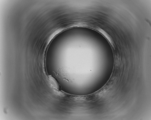 X0000095910861200801181354