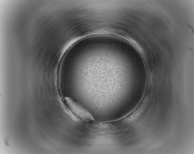 X0000095910862200801181354