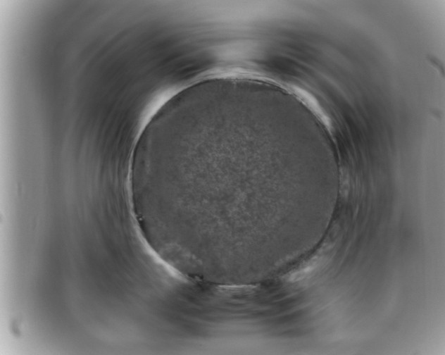 X0000095910863200801181354