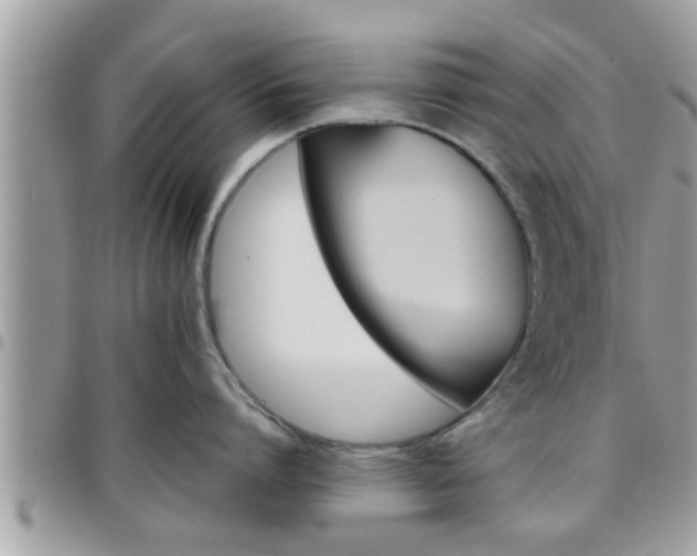 X0000095910864200801181354