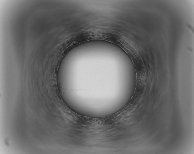 X0000095910865200801181353