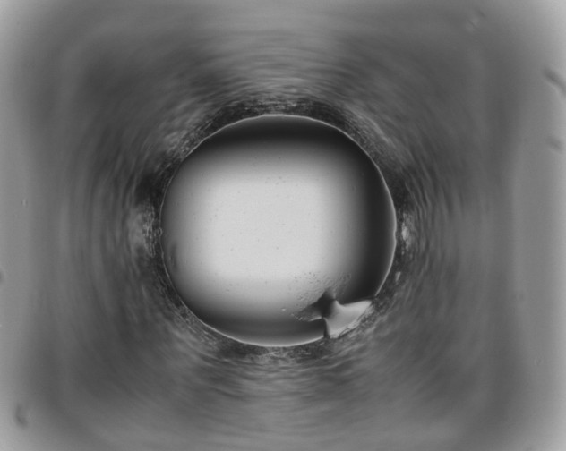 X0000095910867200801181353