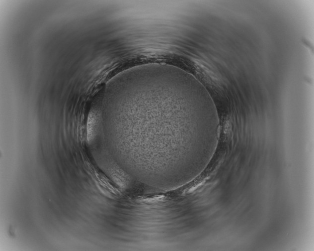 X0000095910868200801181353