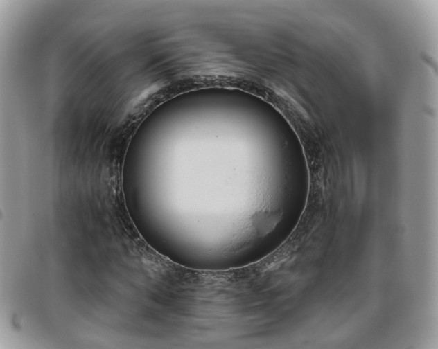 X0000095910870200801181353