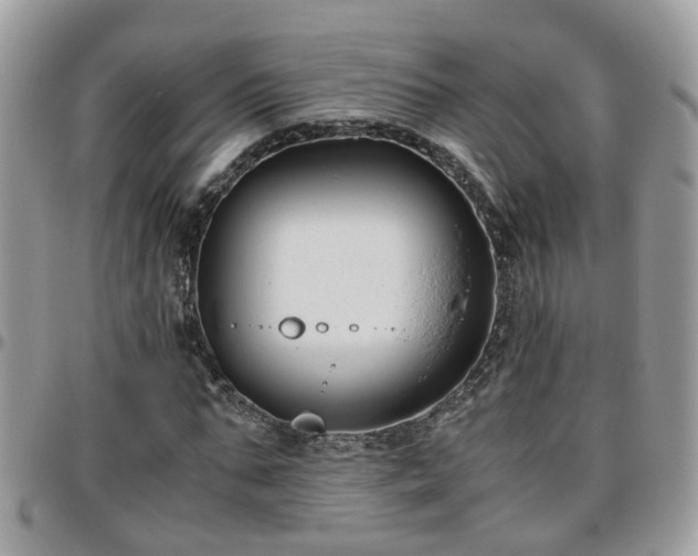 X0000095910871200801181353