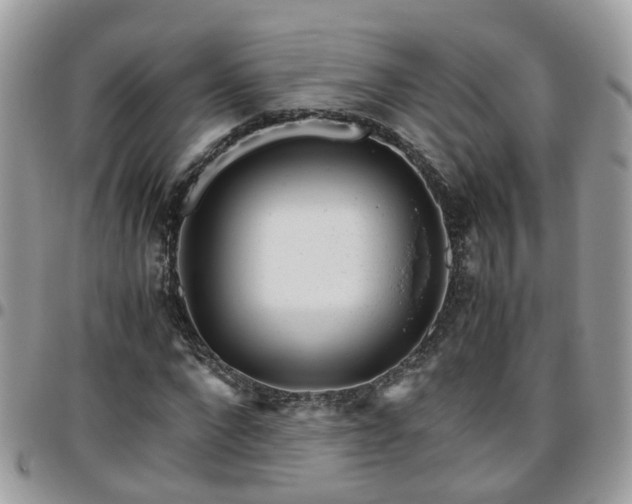 X0000095910872200801181353