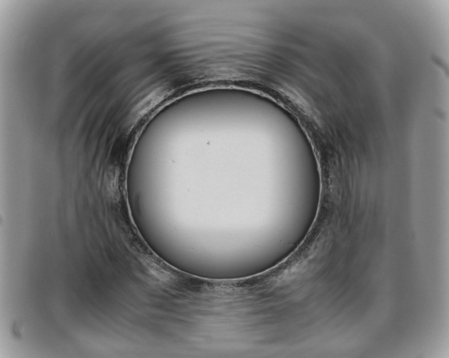 X0000095910873200801181353