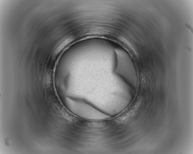 X0000095910874200801181353