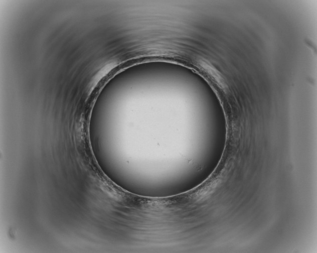 X0000095910875200801181353