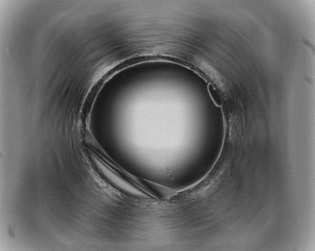 X0000095910876200801181353