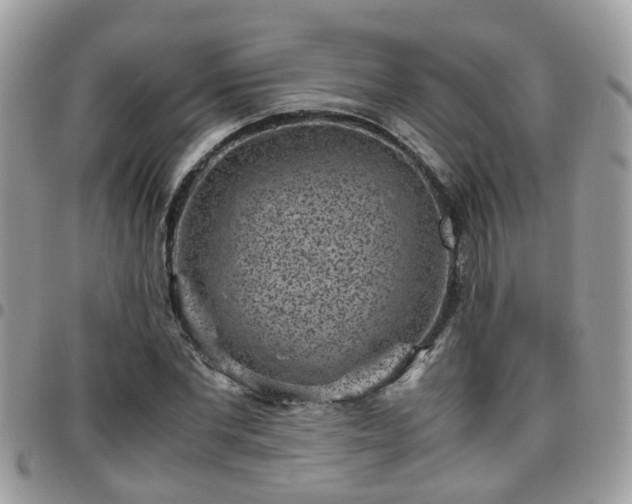 X0000095910877200801181353