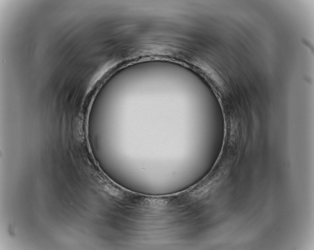 X0000095910878200801181353