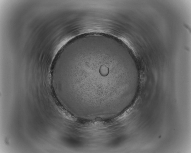 X0000095910879200801181353