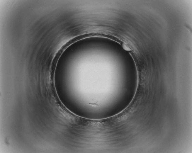 X0000095910880200801181353