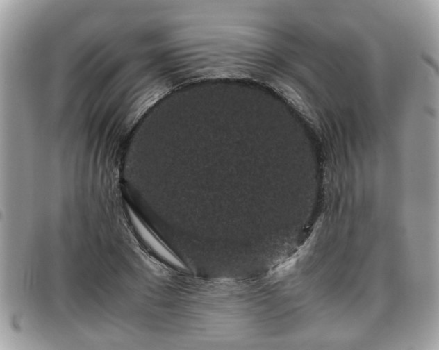 X0000095910881200801181353