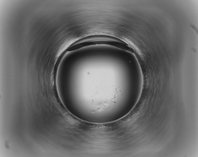 X0000095910885200801181353