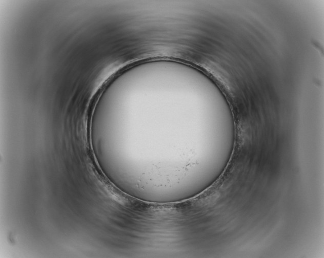 X0000095910886200801181353