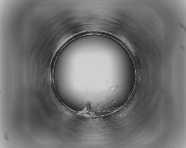 X0000095910887200801181353