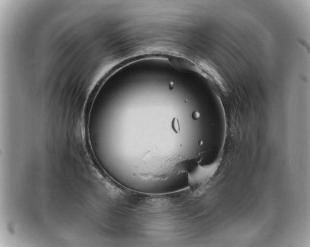 X0000095910888200801181353