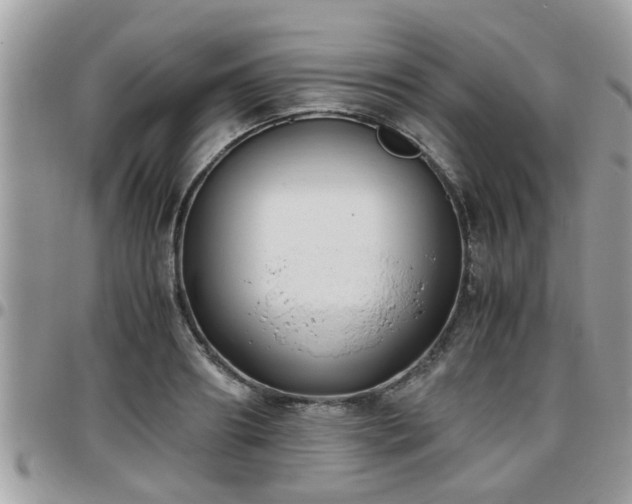 X0000095910890200801181353