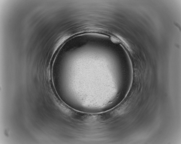 X0000095910891200801181353