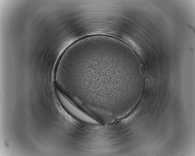 X0000095910892200801181353