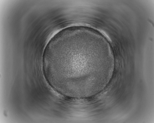 X0000095910895200801181353