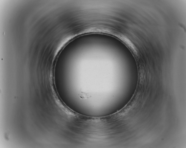 X0000095910896200801181353