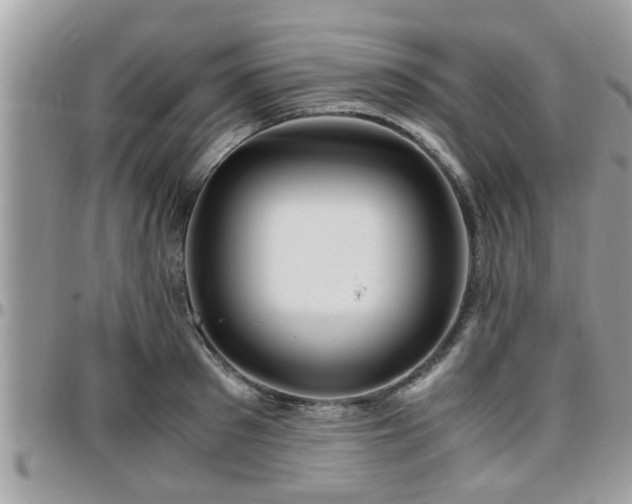 X0000095910897200801181353