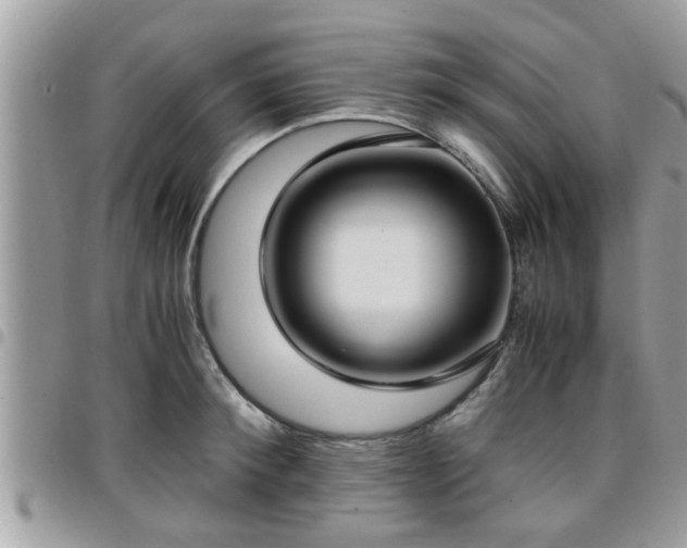 X0000095910900200801181353