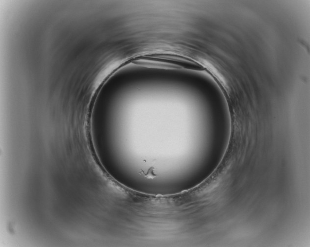 X0000095910901200801181353