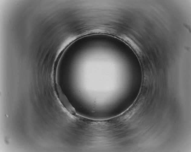 X0000095910902200801181353