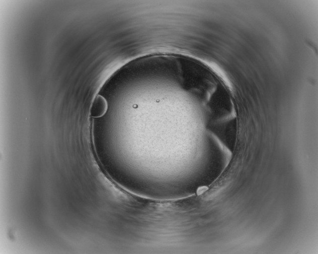 X0000095910903200801181353