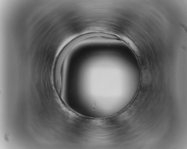 X0000095910904200801181353