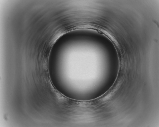 X0000095910905200801181353