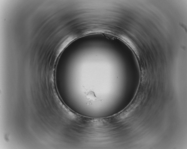 X0000095910906200801181353