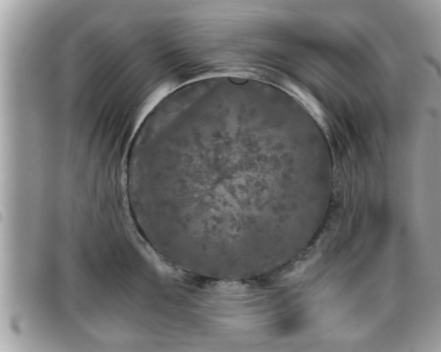 X0000095910907200801181353