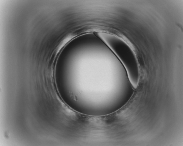 X0000095910909200801181353